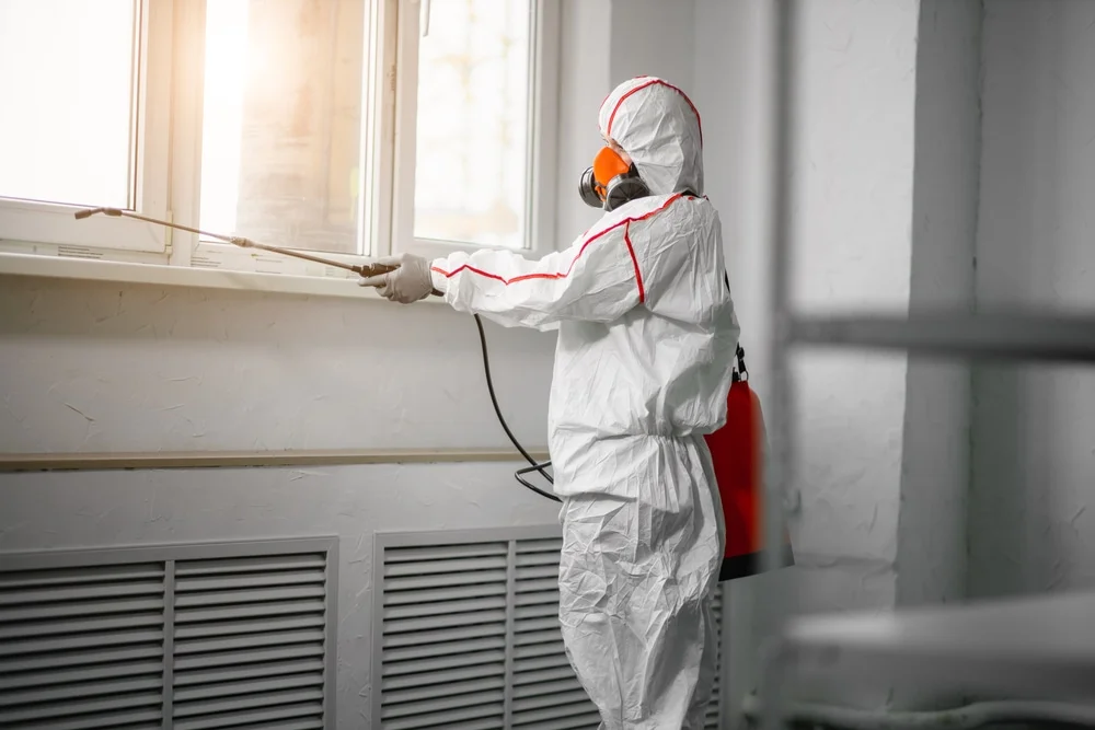 Professional mold remediation services in Miami Beach, FL